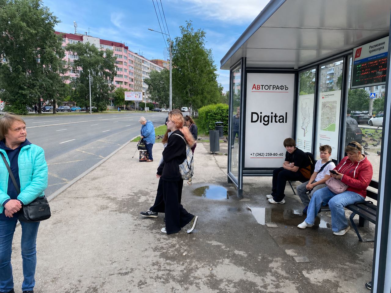 Цифровой экран — пр. Парковый, 36 (ост. Улица Пожарского)